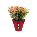 loft urban rond 30cm veenbes rood